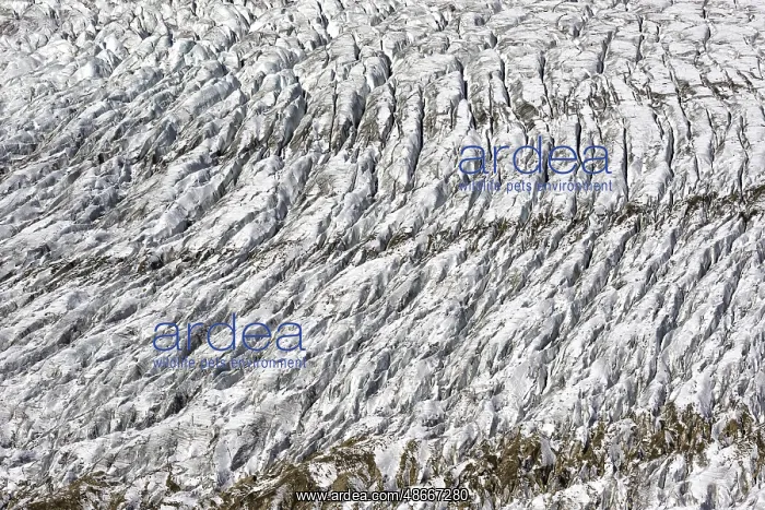 : Detailed view of the structure of the Aletsch glacier : Detailed view of the structure of the Aletsch glacier