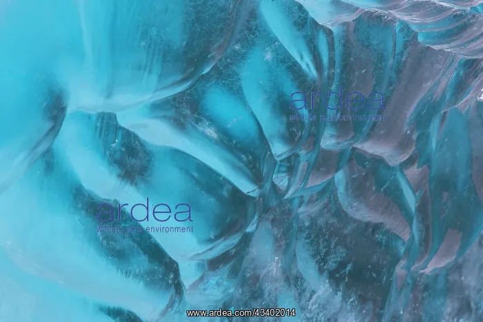 : Details of an ice floe at Negribreen glacier - Storfjord : Details of an ice floe at Negribreen glacier - Storfjord