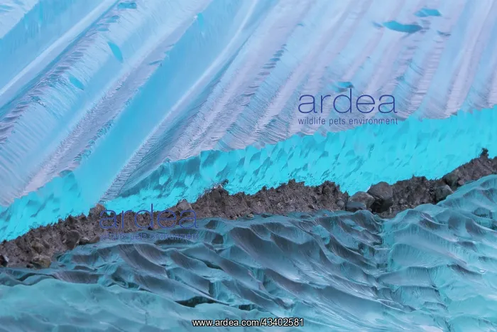  : Details of an ice floe at Negribreen glacier - Storfjord