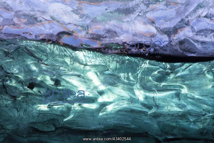 : Details of the ice in the glacial cave in the Breidamerkurjo : Details of the ice in the glacial cave in the Breidamerkurjo