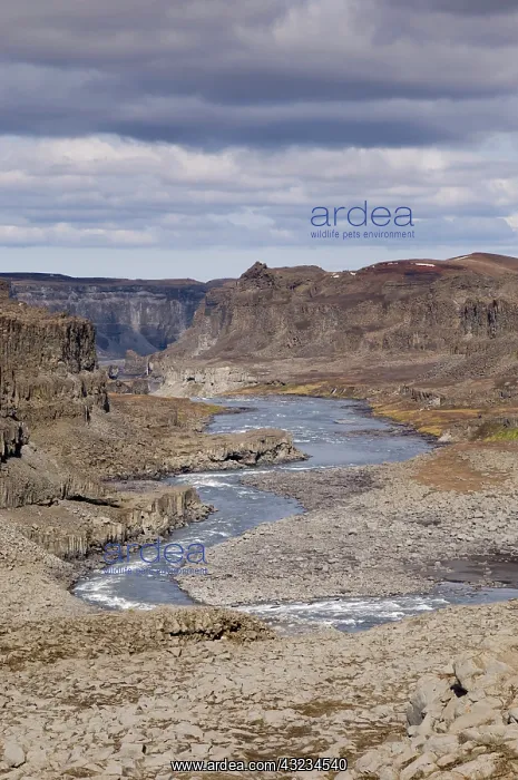 : Dettifoss, Iceland : Dettifoss, Iceland