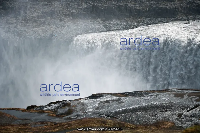  : Dettifoss Waterfall