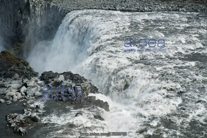  : Dettifoss Waterfall