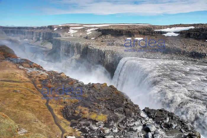 : Dettifoss Waterfall : Dettifoss Waterfall