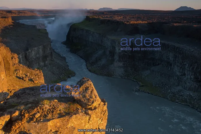 : The Dettifoss waterfall in evening light : The Dettifoss waterfall in evening light