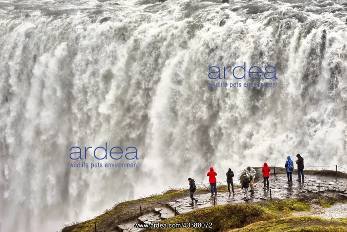 : Dettifoss is a waterfall on the river Jnkuls : Dettifoss is a waterfall on the river Jnkuls