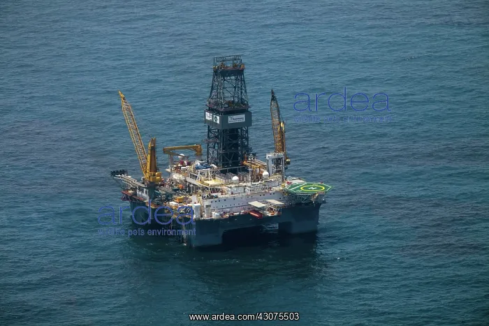 : Development Driller III : Development Driller III