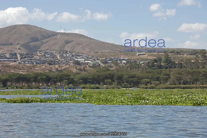 : Development of housing for flower farms and geothermal : Development of housing for flower farms and geothermal
