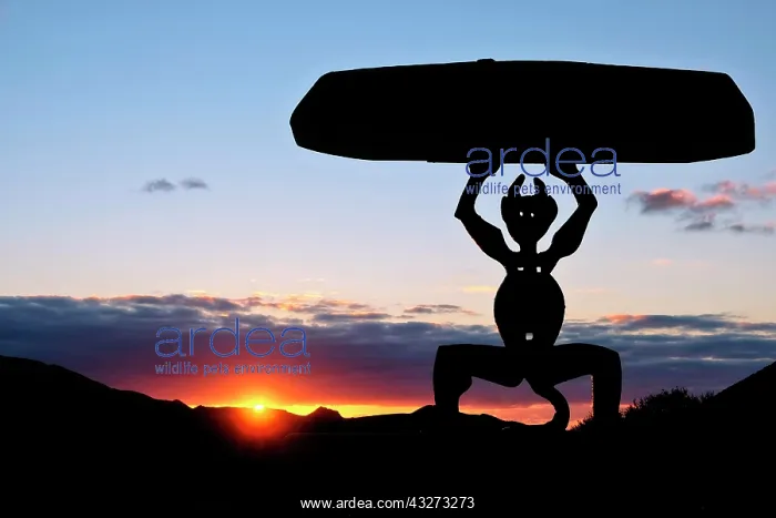 : Devil sculpture in backlight, landmark El Diablo : Devil sculpture in backlight, landmark El Diablo