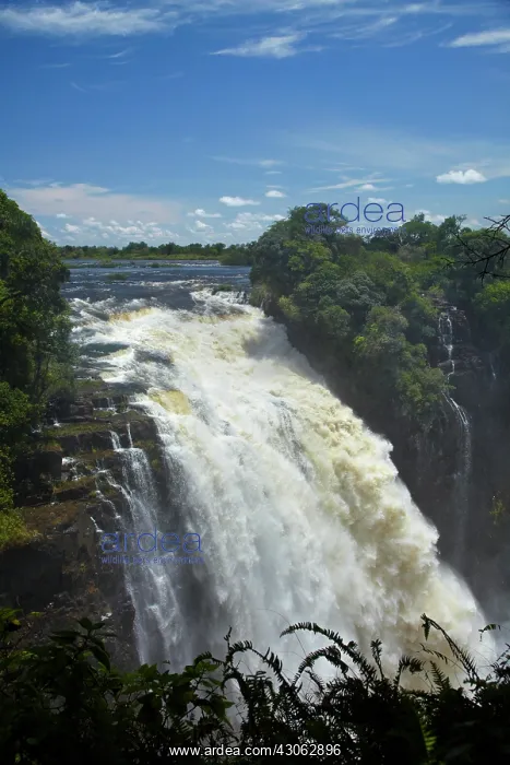 : Devil's Cataract, Victoria Falls or Mosi-oa-Tunya : Devil's Cataract, Victoria Falls or Mosi-oa-Tunya