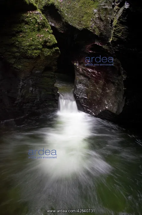 : Devil's Cauldron : Devil's Cauldron
