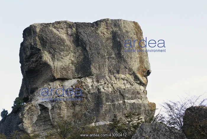 : Devil's Chair, Chile : Devil's Chair, Chile