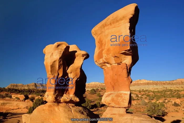 : Devil's Garden - spectacular, colourful Hoodoos : Devil's Garden - spectacular, colourful Hoodoos