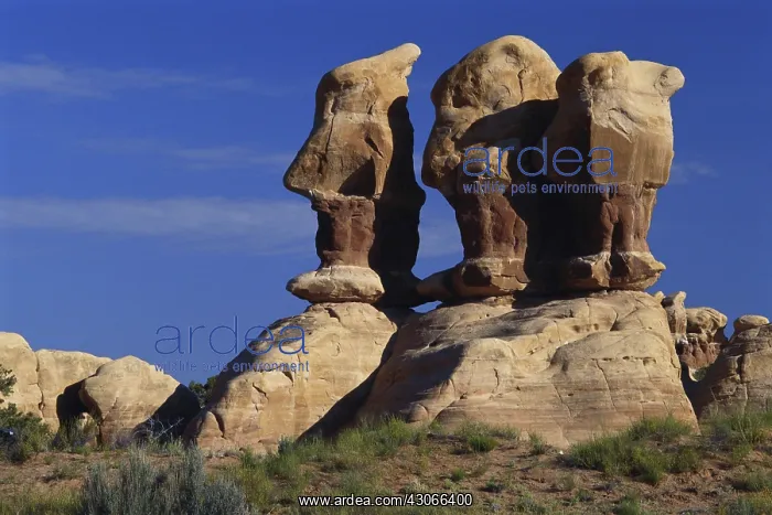  : Devil's Garden, Utah