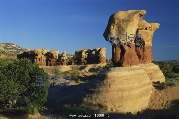 : Devil's Garden, Utah : Devil's Garden, Utah