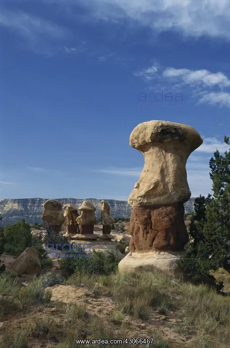 : Devil's Garden, Utah : Devil's Garden, Utah