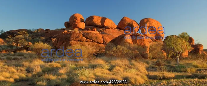 : Devils Marbles - several circular shaped marbles : Devils Marbles - several circular shaped marbles