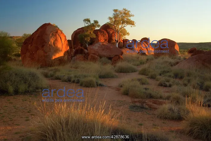 : Devils Marbles - several circular shaped marbles : Devils Marbles - several circular shaped marbles