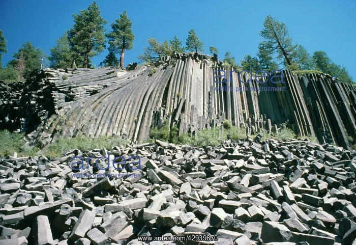: Devil's Postpile, basaly columns : Devil's Postpile, basaly columns