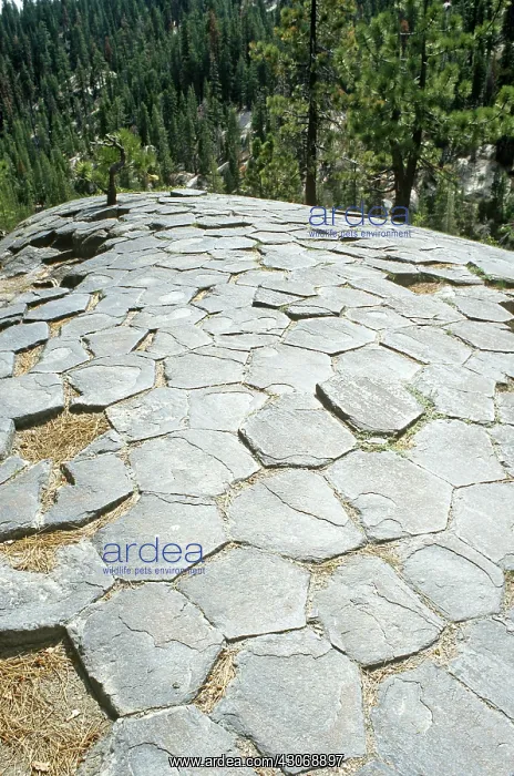 : Devils Postpile National Monument : Devils Postpile National Monument