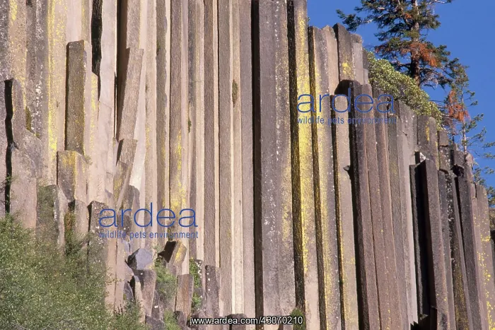 : Devils Postpile National Monument : Devils Postpile National Monument