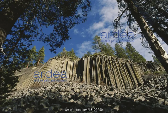 : Devils Postpile National Monument : Devils Postpile National Monument