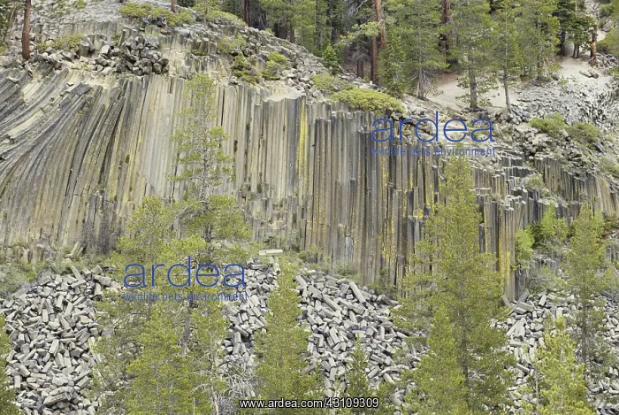 : Devils Postpile National Monument : Devils Postpile National Monument