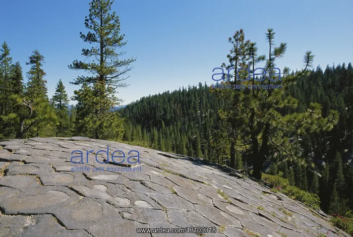 : Devils Postpile National Monument : Devils Postpile National Monument