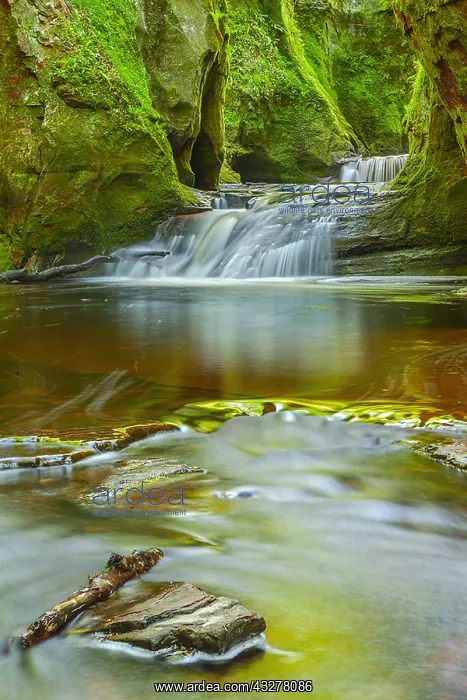 : Devils Pulpit - water of Carnock Burn cascades over : Devils Pulpit - water of Carnock Burn cascades over