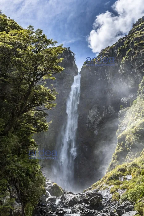 : Devil's Punchbowl Waterfall, Arthur's Pass National : Devil's Punchbowl Waterfall, Arthur's Pass National