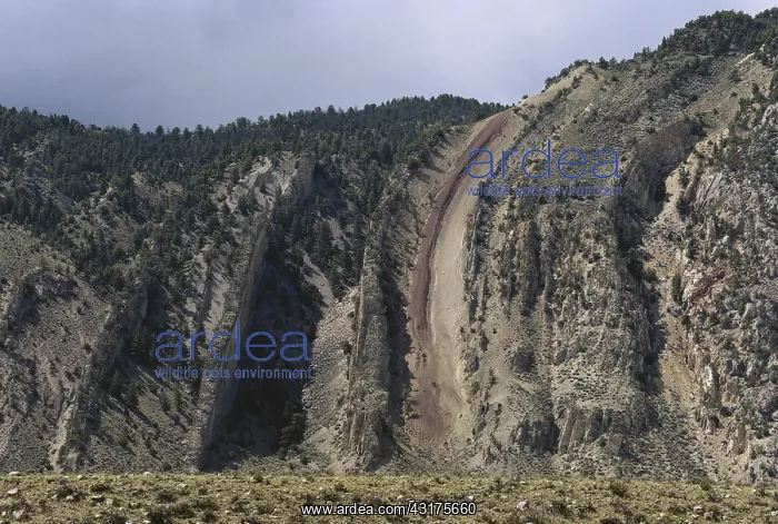 : Devil's Slide : Devil's Slide