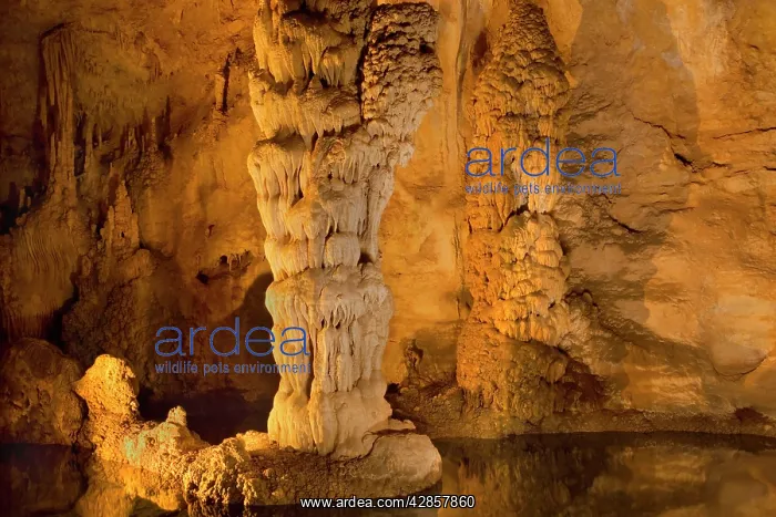 : Devil's Spring - a natural underground spring with : Devil's Spring - a natural underground spring with