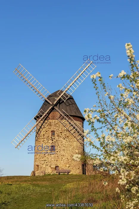 : Devil's Mill Thale Warnstedt Tower Windmill : Devil's Mill Thale Warnstedt Tower Windmill