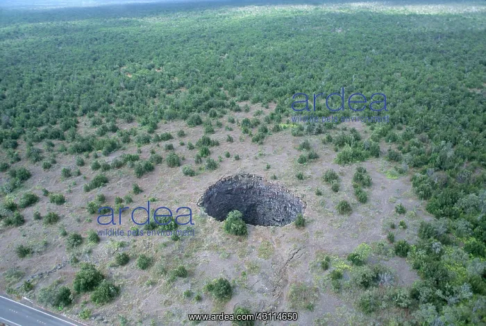 : Devil's Throat Crater, Kilauea, Hawaii : Devil's Throat Crater, Kilauea, Hawaii
