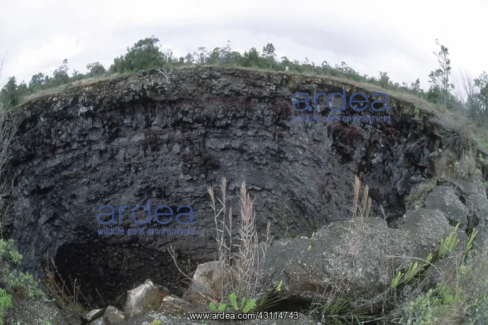 : Devil's Throat Crater, Kilauea, Hawaii : Devil's Throat Crater, Kilauea, Hawaii