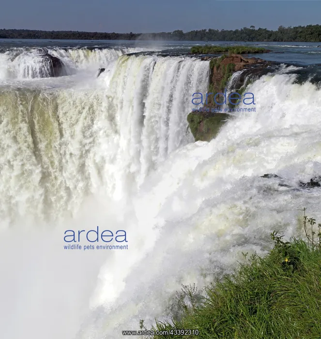 : The Devil's Throat of the Iguaz Falls : The Devil's Throat of the Iguaz Falls
