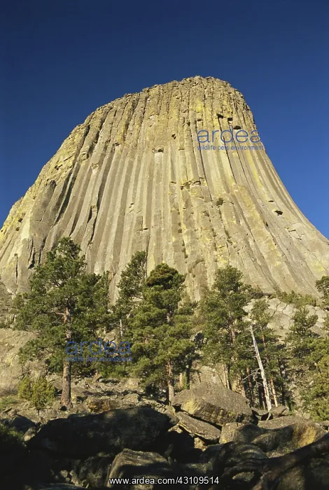 : Devils Tower : Devils Tower