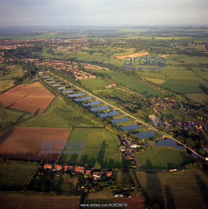 : Devizes Locks, Wiltshire : Devizes Locks, Wiltshire