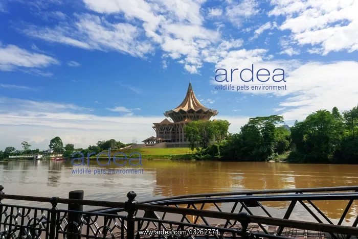 : Dewan Undangan Negeri DUN Building, Sarawak : Dewan Undangan Negeri DUN Building, Sarawak
