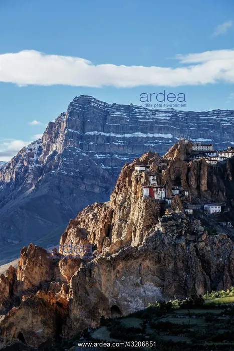 : Dhankar monastry perched on a cliff in Himalayas : Dhankar monastry perched on a cliff in Himalayas