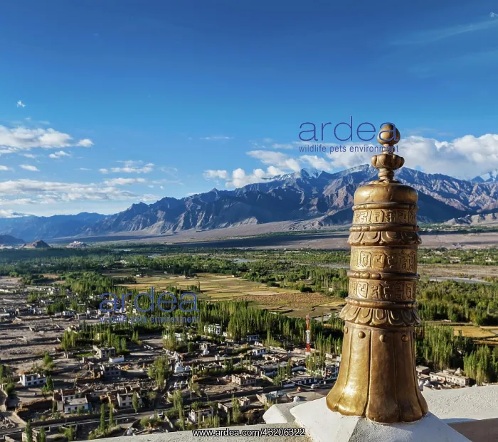 : Dhvaja (victory banner), on the roof of Thiksey : Dhvaja (victory banner), on the roof of Thiksey