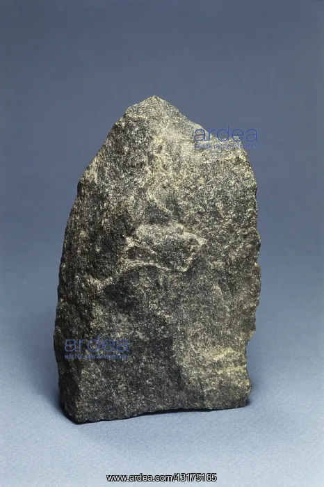 : Diabase from Fairfax County, Virginia. Diabase : Diabase from Fairfax County, Virginia. Diabase