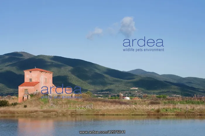 : Diaccia Botrona Nature Reserve : Diaccia Botrona Nature Reserve