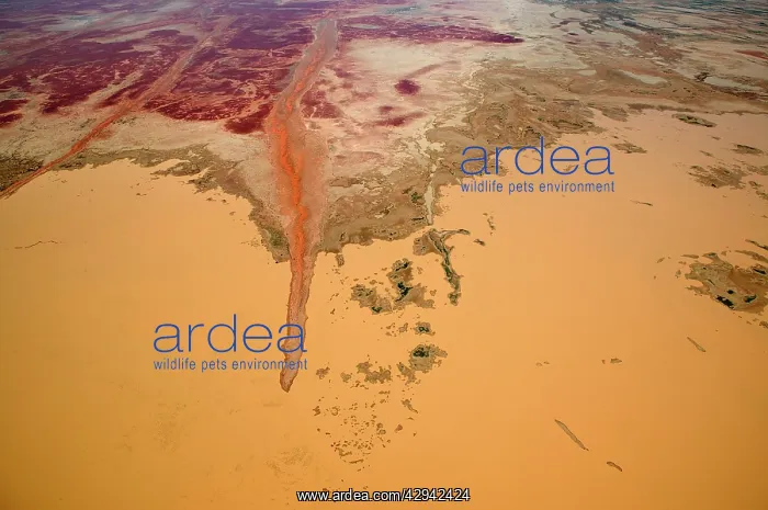 : Diamantina River flooding onto the Strzelecki Desert.aerial : Diamantina River flooding onto the Strzelecki Desert.aerial