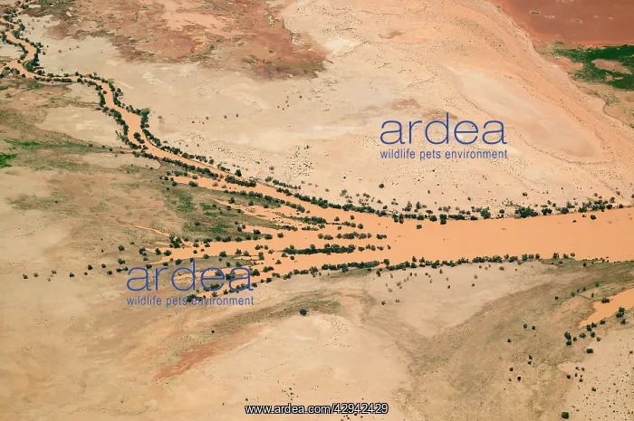  : Diamantina River flooding onto the Strzelecki Desert.aerial