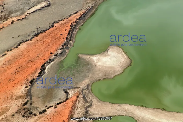 : Diamantina River.in flood near Birdsville. Aerial : Diamantina River.in flood near Birdsville. Aerial