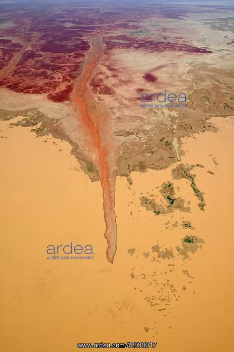 : Diamantina River.in flood near Birdsville. Aerial : Diamantina River.in flood near Birdsville. Aerial