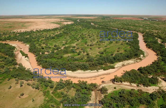 : Diamantina River.near Birdsville, South australia : Diamantina River.near Birdsville, South australia