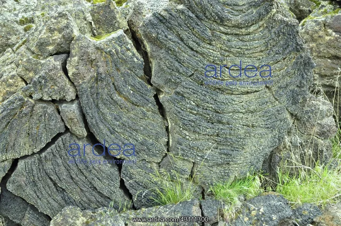 : Diamond Craters Basalt : Diamond Craters Basalt
