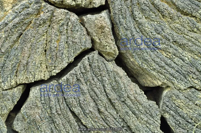 : Diamond Craters Basalt : Diamond Craters Basalt